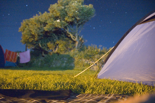 Night Tent (St Ives)